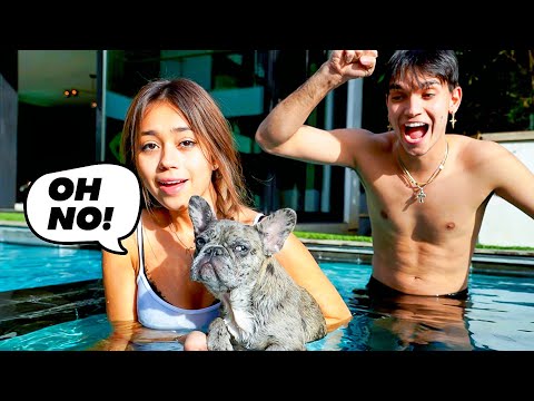 YouTube video about: Where can I take my dog swimming in phoenix?