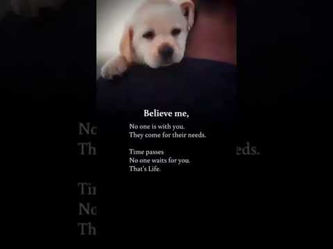 #shorts#motivational#inspiration#struggler🥰#young generation🥰