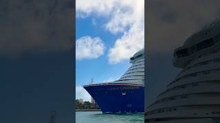 Carnival Celebration 🛳️ #share #like #subscribe #comment #cruise #vacation #shortvideo #shortsvideo