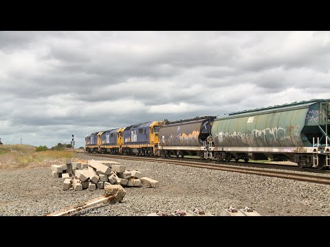 7732V Pacific National Grain Train With BGSY/WGSY Hoppers (20/12/2023) - PoathTV Australian Railways