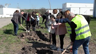 Отбелязаха Световния ден на водата със засаждане на над 100 дръвчета