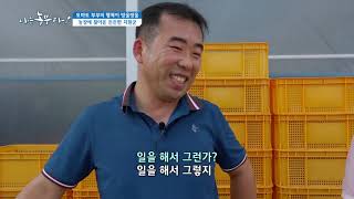[나는 농부다 153회] 토마토 부부의 행복이 방울방울 1부