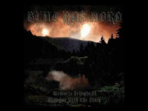 Blut Aus Nord - The Cosmic Echoes of Non-Matter (Immaterial Voices of the Fathers)
