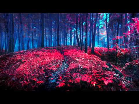 Wild Culture vs. Karmin - Sugar