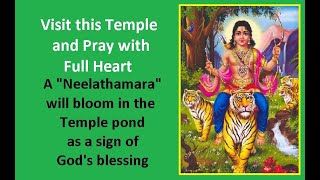 Temple video