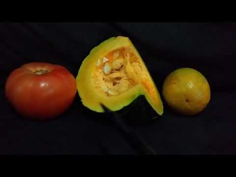 Frutos - classificação