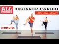 Low impact, beginner, fat burning, home cardio workout. ALL standing!
