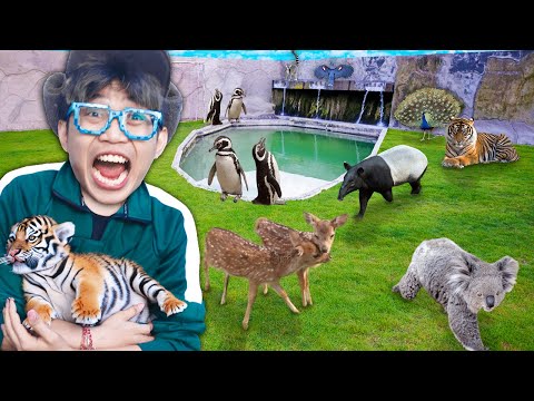 PERMINTAAN KALIAN!!! BELI SEMUA BINATANG DI PASAR GELAP!!! SAMPAI SALING MAKAN 1 KANDANG!!!