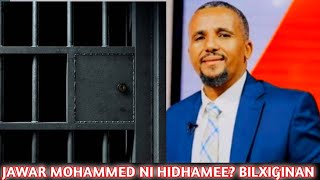 Download lagu Dhamsaa Hatatamaa Jawar Muhammad Hidhamuu Iraati Farsee Bulaa Fi Bilxiginadhaf Debisaa Amaa Latee mp3
