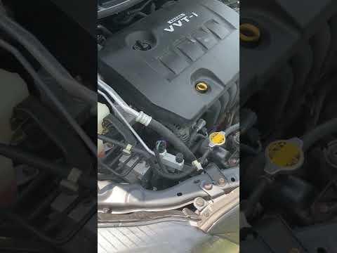Toyota Corolla s 2010 Vvti Rattle.. #toyota #toyotacorolla
