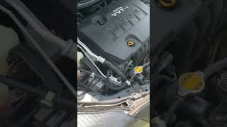 Download lagu Toyota Corolla s 2010 Vvti Rattle.. #toyota #toyotacorolla mp3