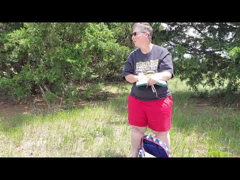 Joy for the journey morning and evening devotional day 137 51725 Saturday pray without ceasing