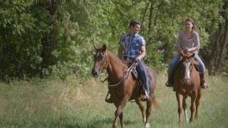 Lucky's Treasure (2017) Video