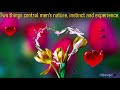 Good Morning Video Beautiful TULIPS