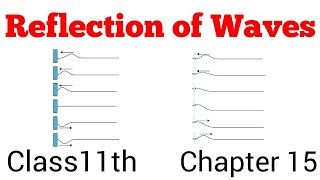 Reflection of Waves|Waves |class 11th Physics in Hindi