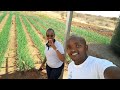 GUTENG ERIO NI NJUKI MATUU PART 2 KWA NEIGHBOR GoldenDreamLands