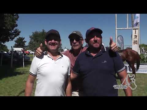 TODAS LAS CARRERAS DE VIALE