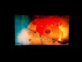 Brother Bear 2 2006 DVD Menu 15th Anniversary Edition