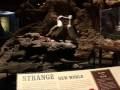 London Feiert Darwin