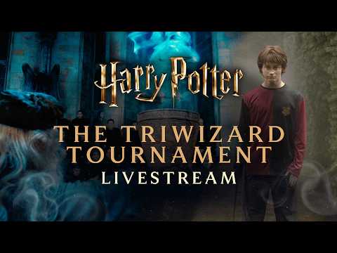 🔴 LIVE: Harry Potter | Triwizard Tournament | 24/7 Livestream