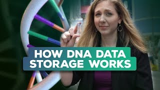 Is synthetic DNA the future of data storage? | Bridget Breaks It Down