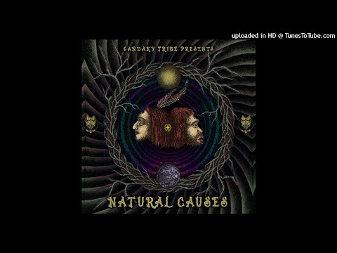 OpeNmiNd - Secret Order