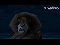 Finding Simba Part 2 A Terrible Fate