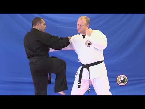 Kempo Karate - Double Striker Kempo