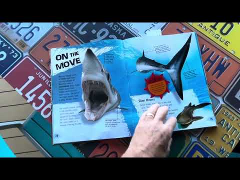 The Complete Guide to Deadly Predators Sharks and Other Ocean Creatures on Norwegian Getaway