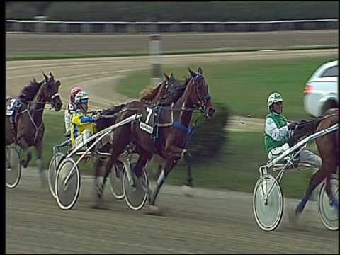 Trotto 14/10/2016 - 5ª corsa