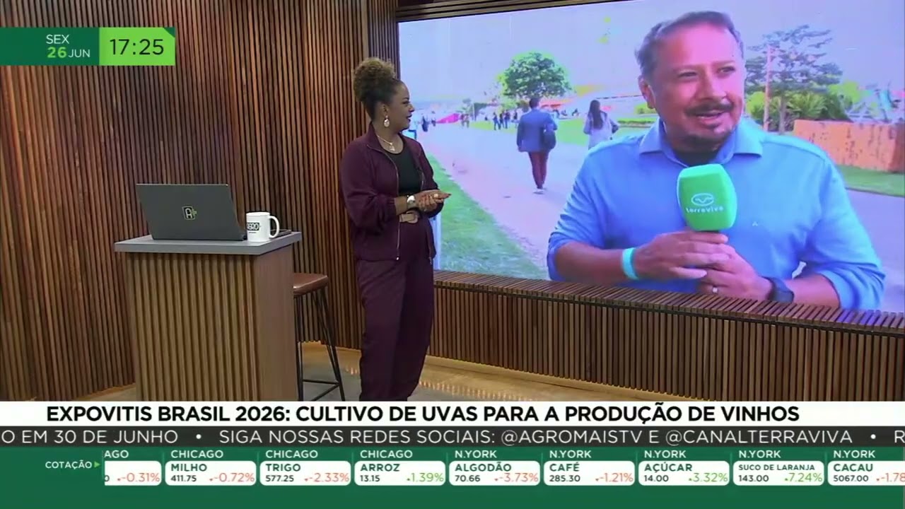Expovitis Brasil 2026: cultivo de uvas para a produção de vinhos