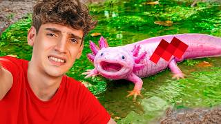 🩸I rescued an axolotl and built it a Minecraft world🩸