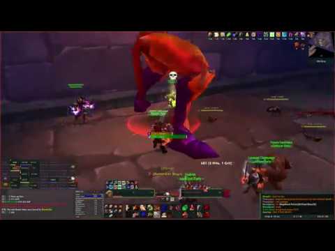 [World of Warcraft] Guild First Twin Emps Kill
