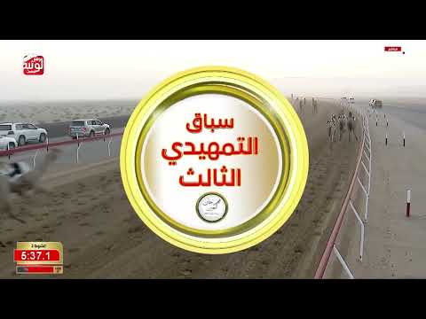 ش 2 (دليل) لـ سعادة مطر حمد مطر بن عميره الشامسي 7:56:24 ، مهرجان العين 2026/09/18 زمول الروضة