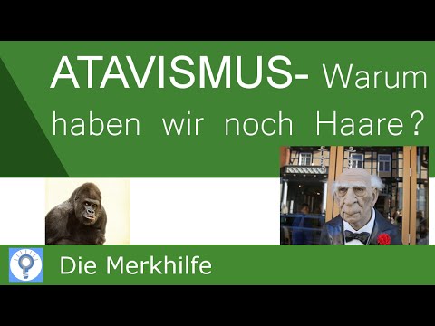 Warum haben wir überhaupt noch Haare?! - Atavismus / Rückschlag | Evolution 24