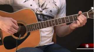 Picnic Panic: 4 Chords Guitar Lesson
