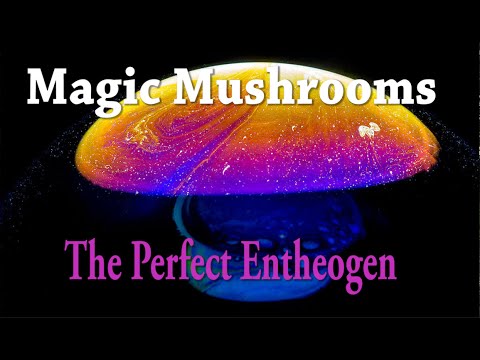 Magic Mushrooms | The Perfect Entheogen