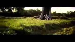 Silent Screams - the way we were