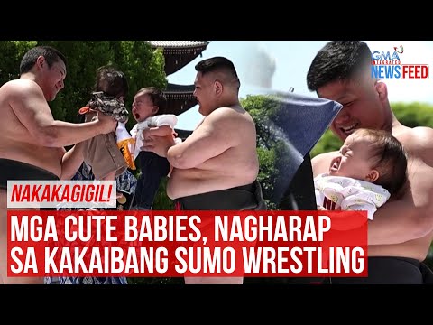 NAKAKAGIGIL!Mga cute babies, nagharap sa kakaibang sumo wrestling GMA Integrated Newsfeed