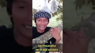 Download lagu Ini aslinya Orangnya 'Dikasih Info Mase' Sampai Di Remix mp3