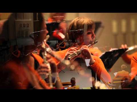 Neflac samen concert 21 november 2015 Woerden - korte impressie