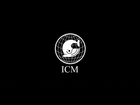 ICM - Black Lambo Bitch