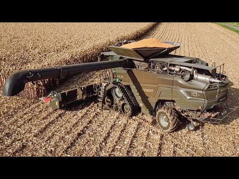 FENDT IDEAL 10T + 939 Vario bei der Maisernte 2023/ Corn Harvest 23