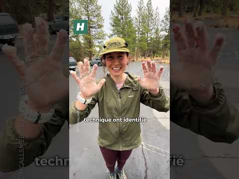 Des Américains ont fabriqué du beurre en courant et depuis, tous les runners s'y mettent