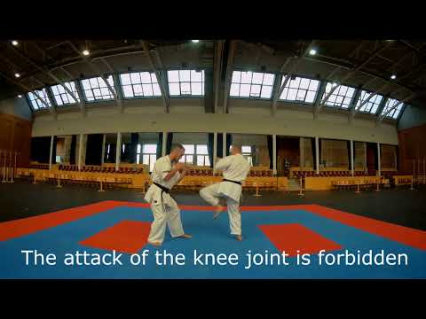 Aiko Ashihara Karate Rule Description in Győr 2018.11.03