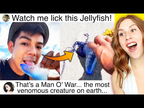 Funniest Social Media Fails Of The Week #8 - REACTION