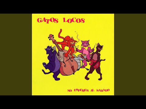 Ni Una Lágrima Caerá Por Ti - Gatos Locos