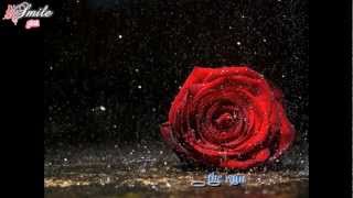 Crying In The Rain - Don Williams lyrics