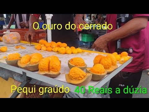 Feira livre do Major Prates pequi graúdo 40 Reais 