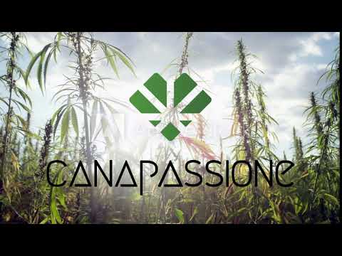 AdobeStock 179428999 Video HD Preview